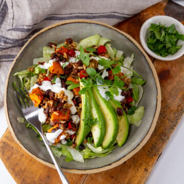 a bowl of black bean casserole topped with avocado and a small bowl of cilantro in the upper right.