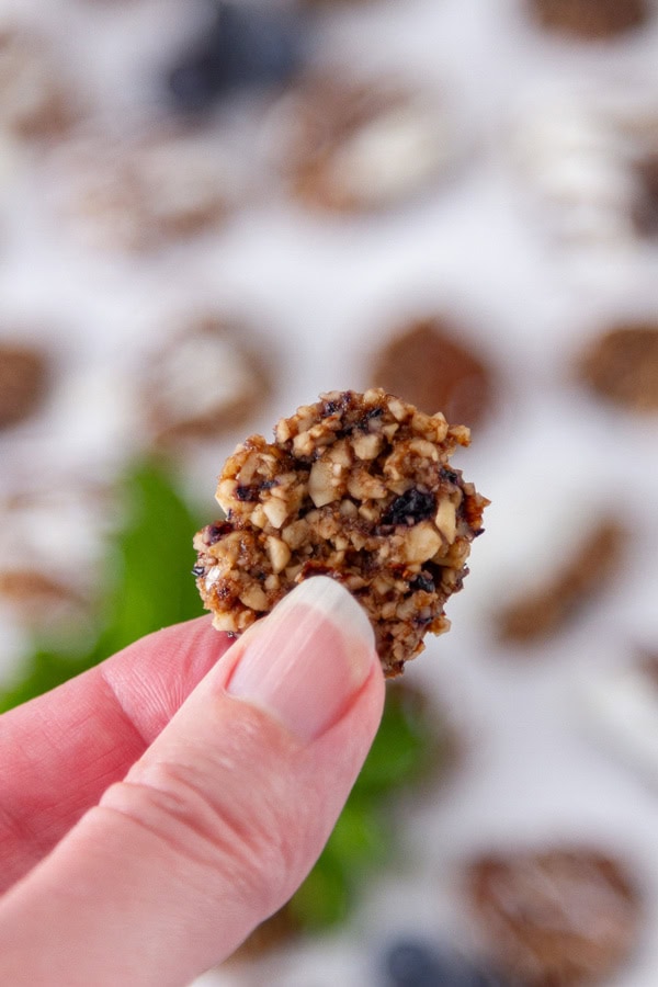 a hand holding one of the mini cookies.