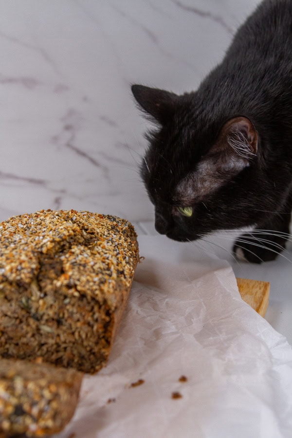 a black cat looking at a loaf of seed bread.