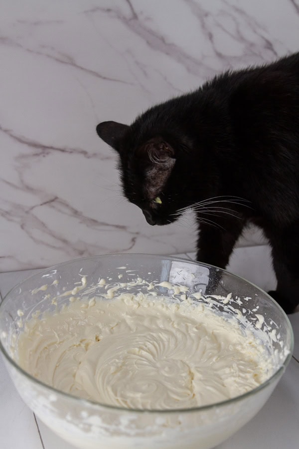 a black cat looking at a big bowl of cheesecake filling.