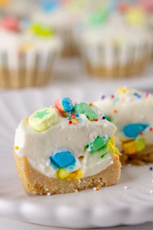 a cheesecake cut in half so you can see the inside. 