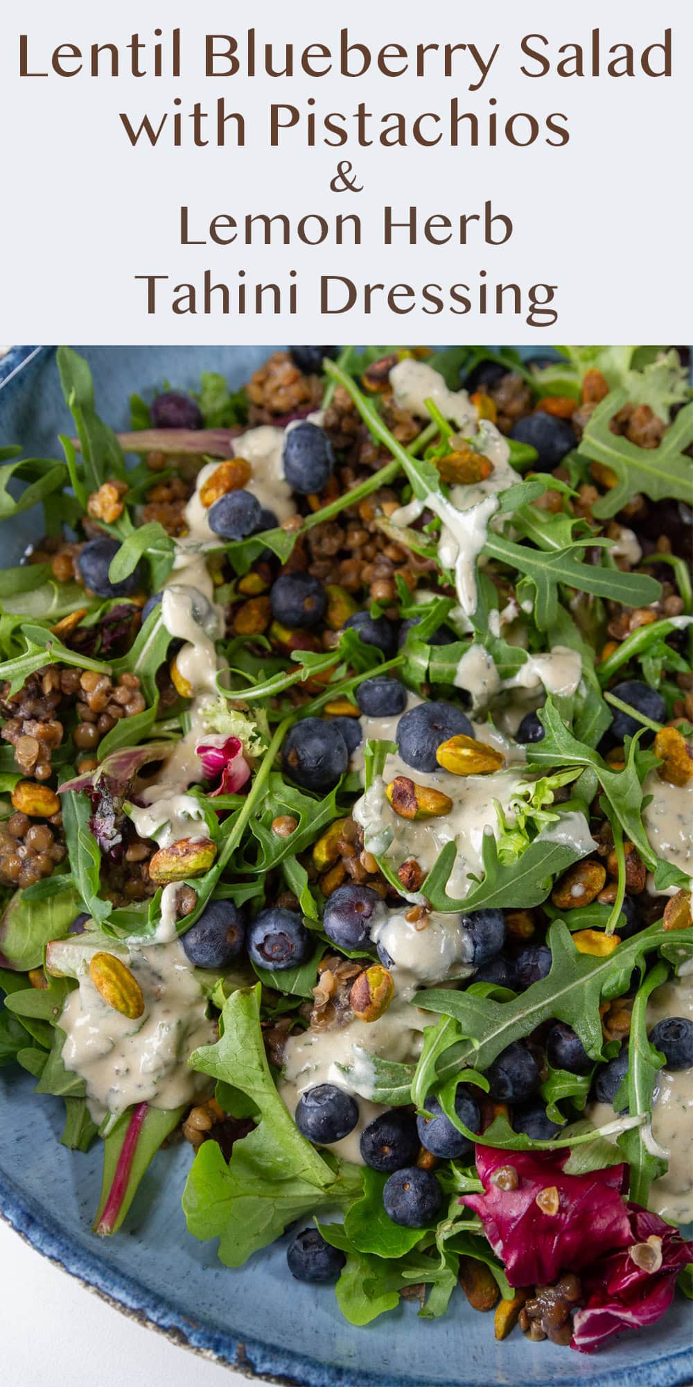 close up on Lentil Blueberry Salad with Pistachios with dressing poured over.