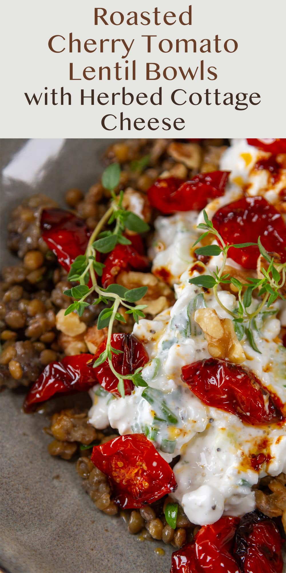 close up on a protein bowl with lentils, cottage cheese, and tomatoes.