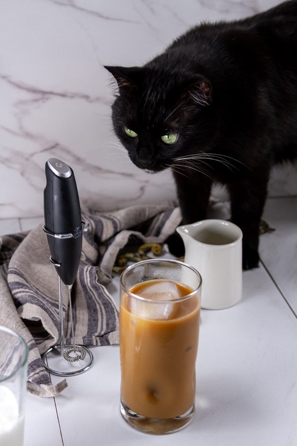 a black cat looking at an iced coffee.