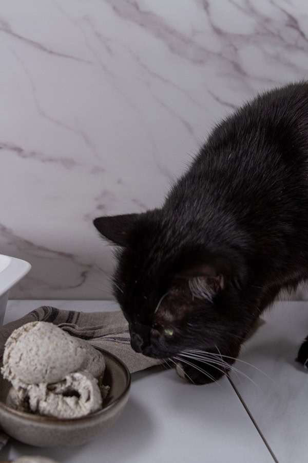 a black cat looks at a bowl of ice cream.