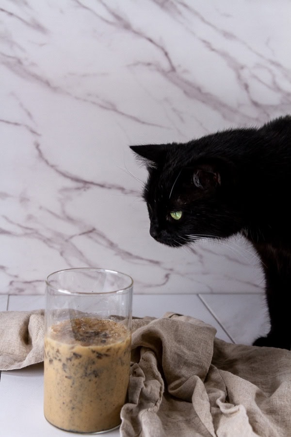 A black cat looking at a black sesame latte.
