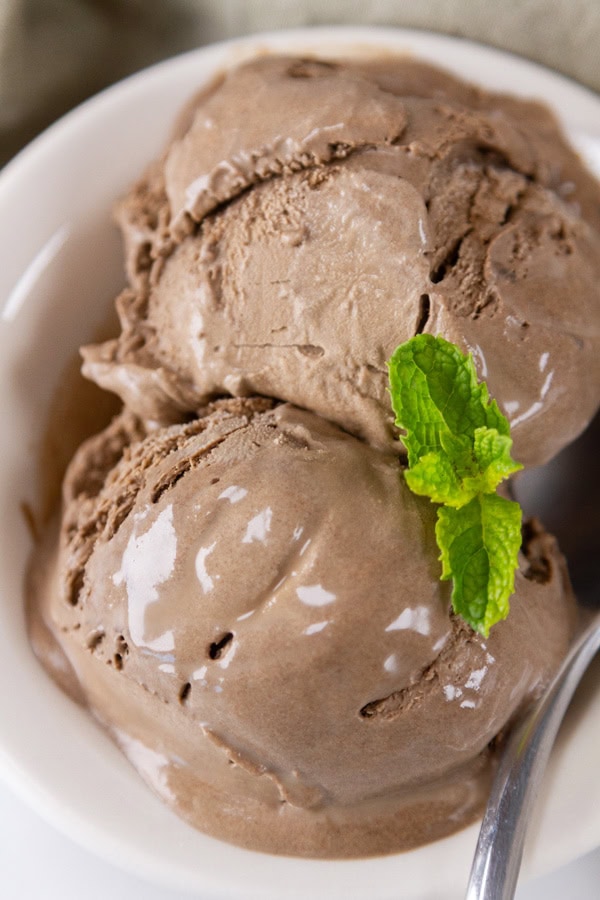 close up on a bowl of hojicha ice cream.