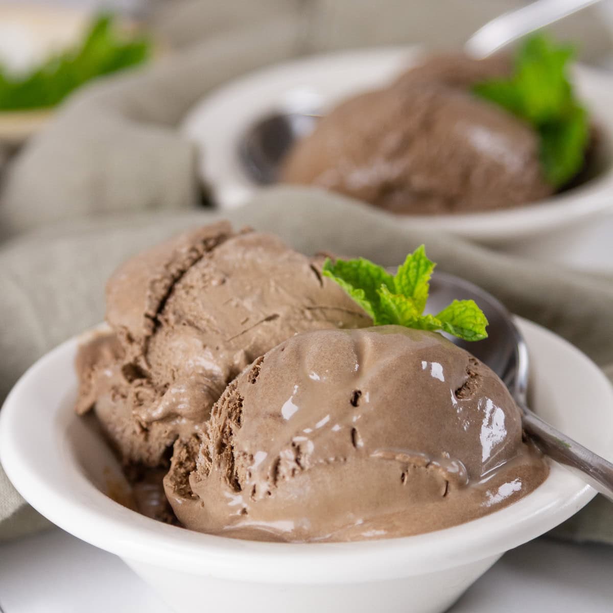 square crop of two dishes of ice cream garnished with fresh mint.