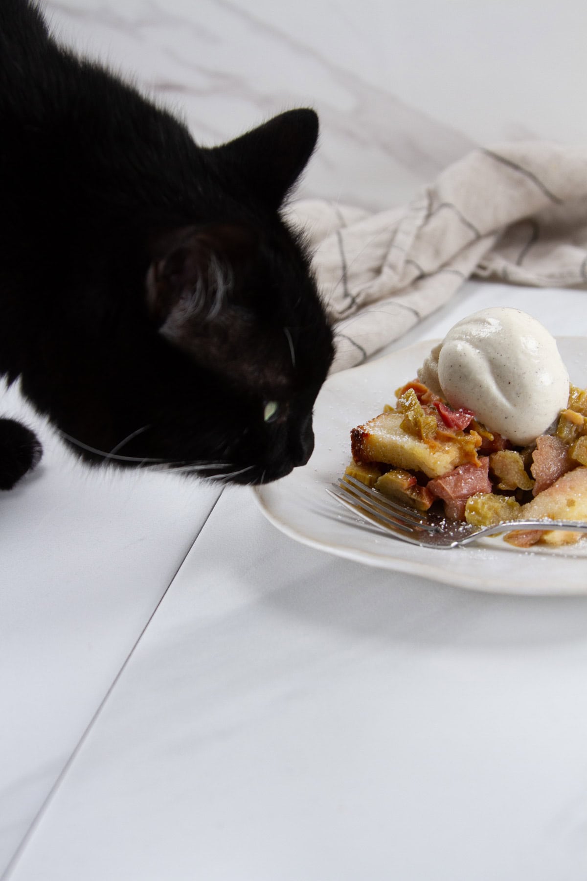 a black cat looking at a piece of rhubarb dessert and ice cream.