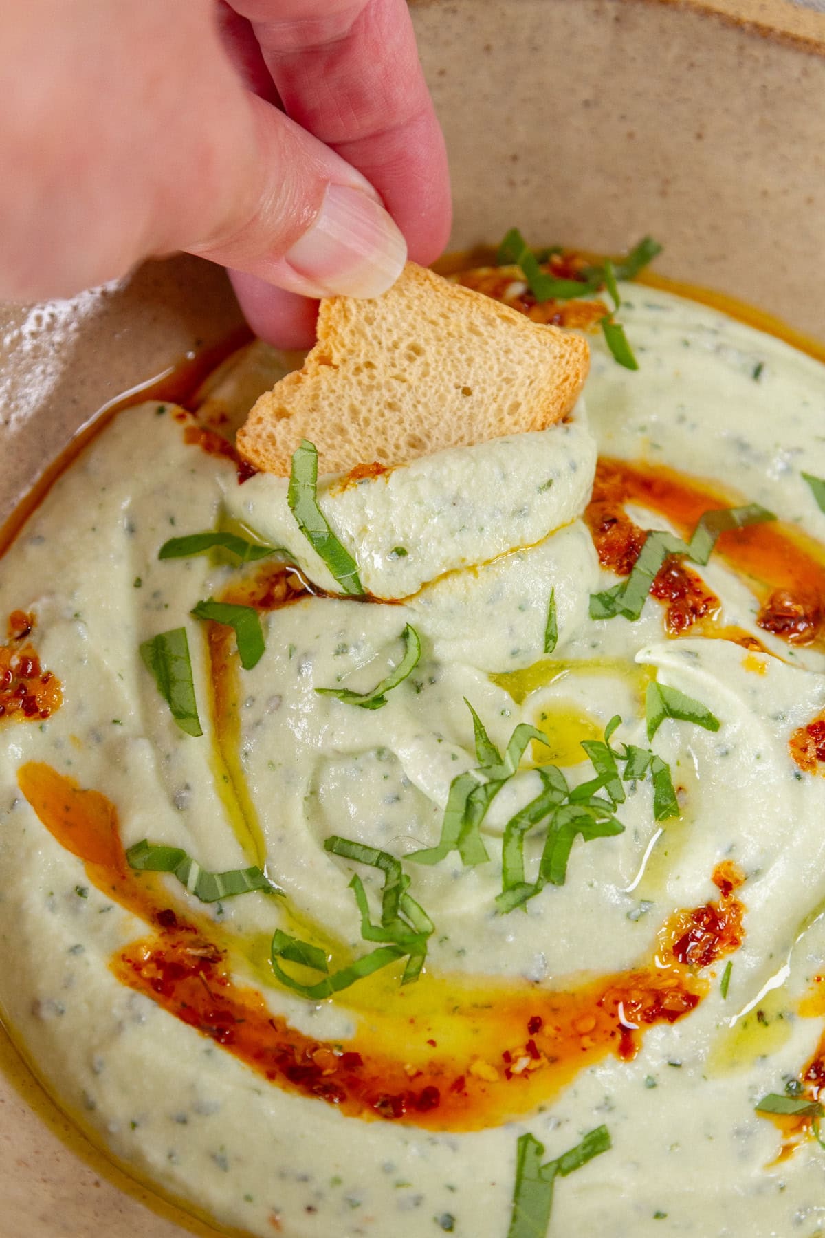 scooping up some dip with a small toast cracker.